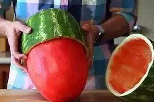 123木头吃瓜,吃瓜群众看热闹 第2张 123木头吃瓜,吃瓜群众看热闹 第2张